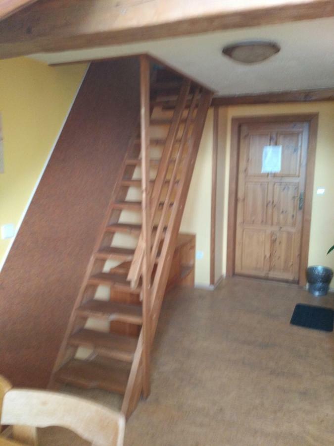 Penzion Crazy Vysoké nad Jizerou Exterior foto